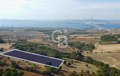 Çanakkale Lapseki Kocaveli Köprü Ve Boğaz Manzaralı 7734m² Tarla