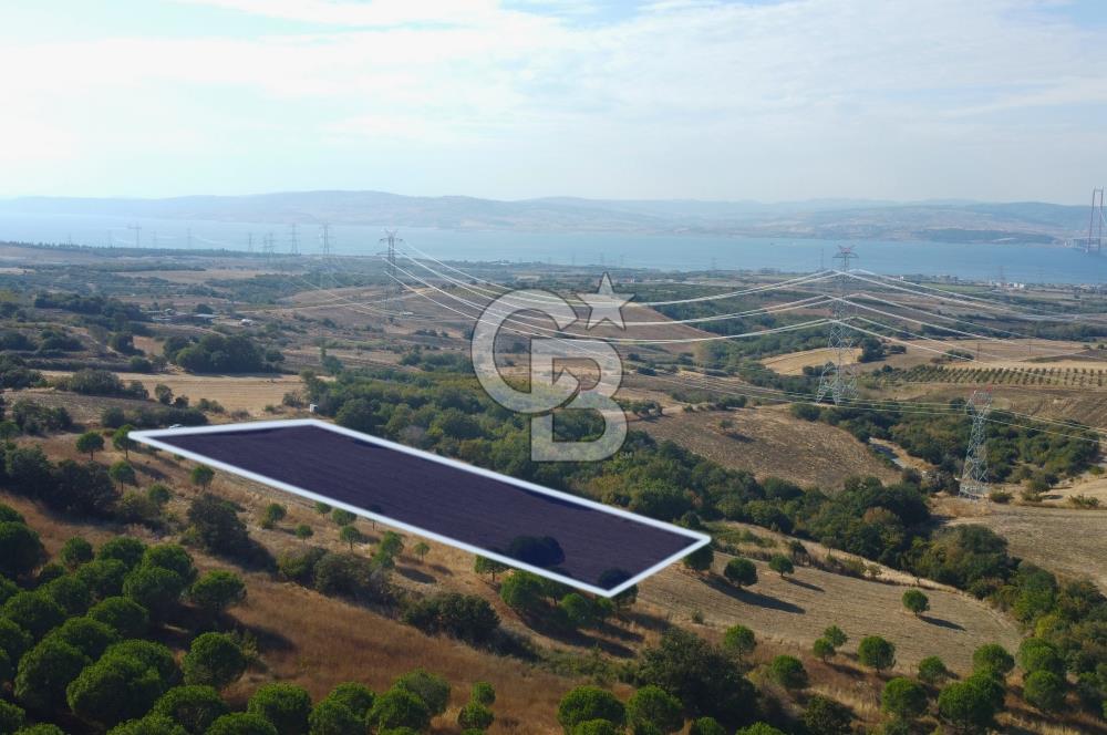 Çanakkale Lapseki Kocaveli Köprü Ve Boğaz Manzaralı 7734m² Tarla