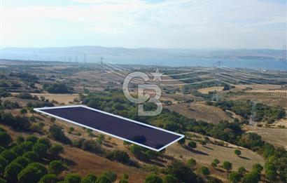 Çanakkale Lapseki Kocaveli Köprü Ve Boğaz Manzaralı 7734m² Tarla