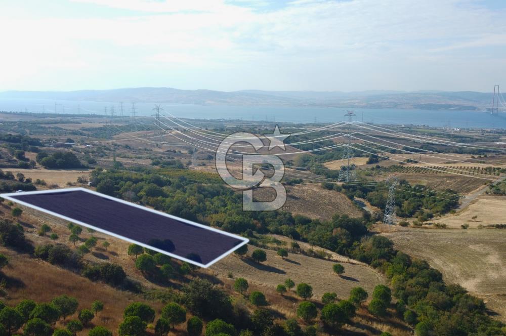 Çanakkale Lapseki Kocaveli Köprü Ve Boğaz Manzaralı 7734m² Tarla