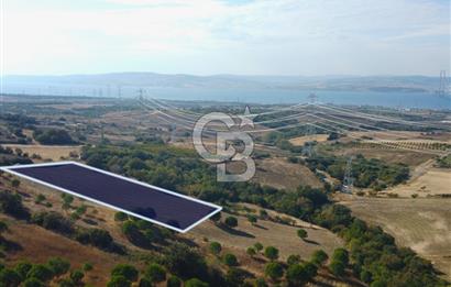 Çanakkale Lapseki Kocaveli Köprü Ve Boğaz Manzaralı 7734m² Tarla