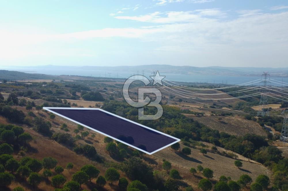 Çanakkale Lapseki Kocaveli Köprü Ve Boğaz Manzaralı 7734m² Tarla