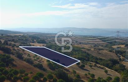 Çanakkale Lapseki Kocaveli Köprü Ve Boğaz Manzaralı 7734m² Tarla