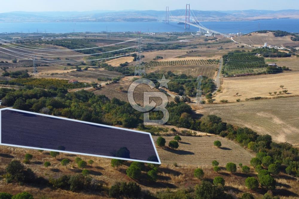 Çanakkale Lapseki Kocaveli Köprü Ve Boğaz Manzaralı 7734m² Tarla