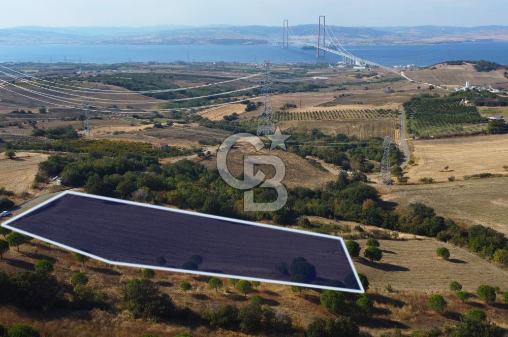 Çanakkale Lapseki Kocaveli Köprü Ve Boğaz Manzaralı 7734m² Tarla