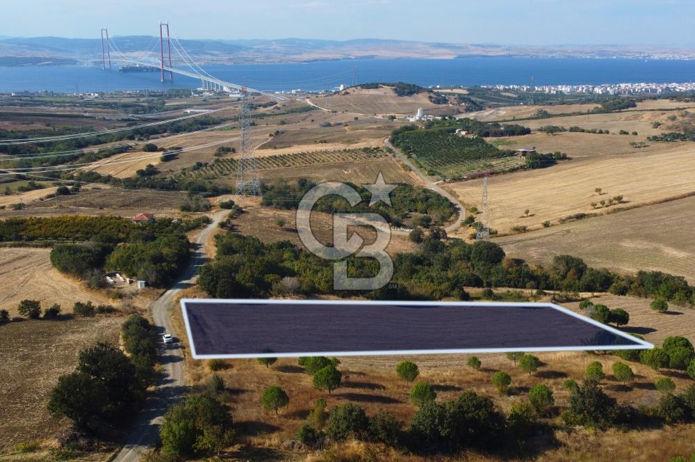 Çanakkale Lapseki Kocaveli Köprü Ve Boğaz Manzaralı 7734m² Tarla