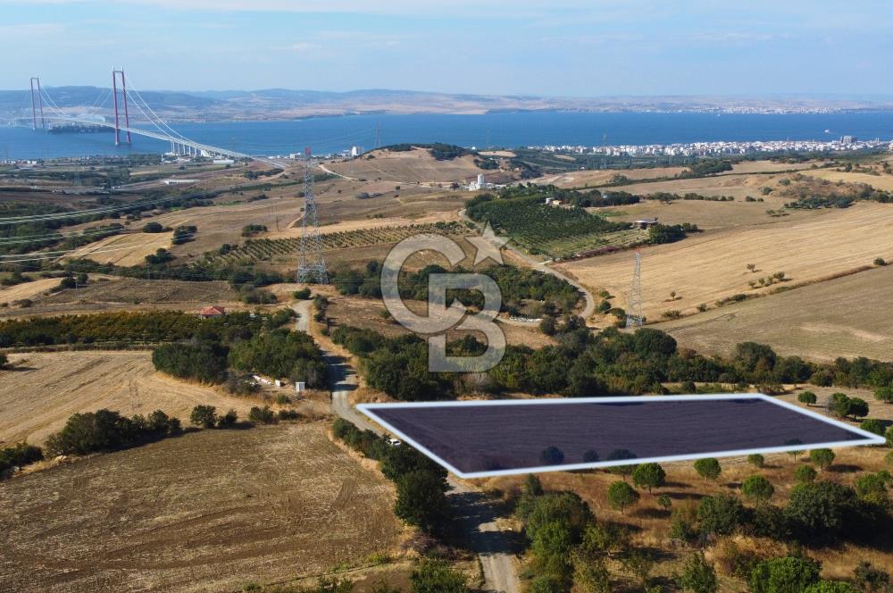 Çanakkale Lapseki Kocaveli Köprü Ve Boğaz Manzaralı 7734m² Tarla