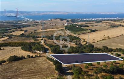 Çanakkale Lapseki Kocaveli Köprü Ve Boğaz Manzaralı 7734m² Tarla