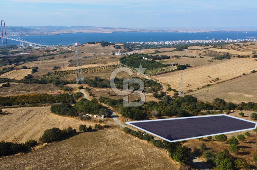 Çanakkale Lapseki Kocaveli Köprü Ve Boğaz Manzaralı 7734m² Tarla