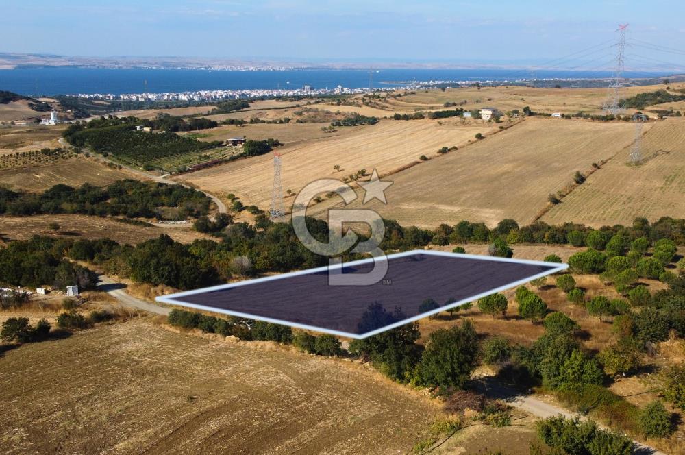 Çanakkale Lapseki Kocaveli Köprü Ve Boğaz Manzaralı 7734m² Tarla
