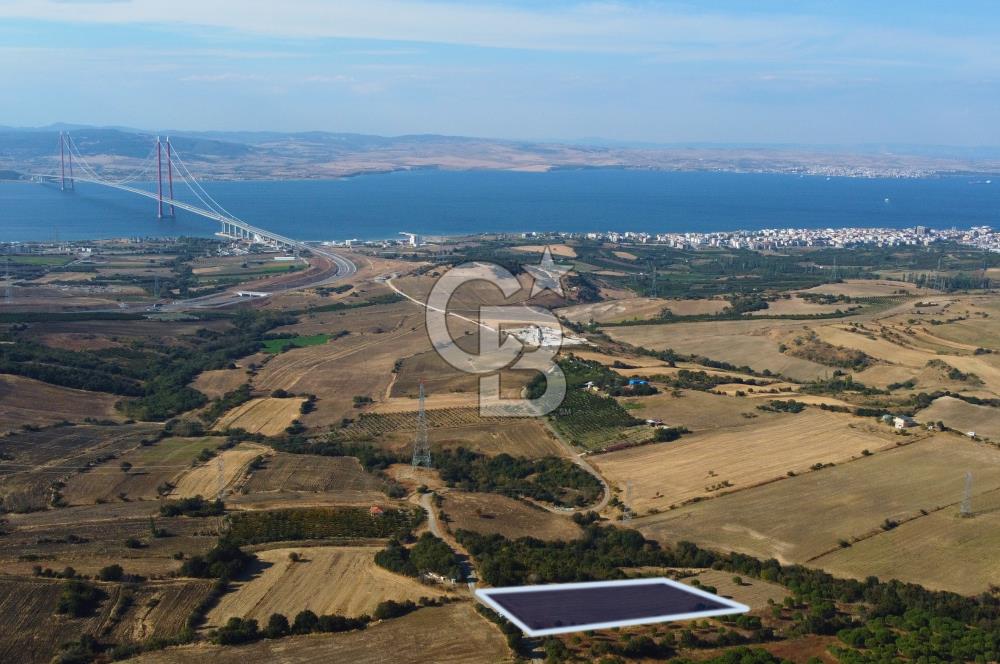 Çanakkale Lapseki Kocaveli Köprü Ve Boğaz Manzaralı 7734m² Tarla