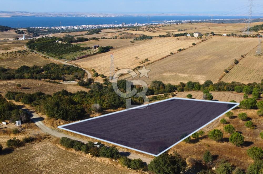 Çanakkale Lapseki Kocaveli Köprü Ve Boğaz Manzaralı 7734m² Tarla