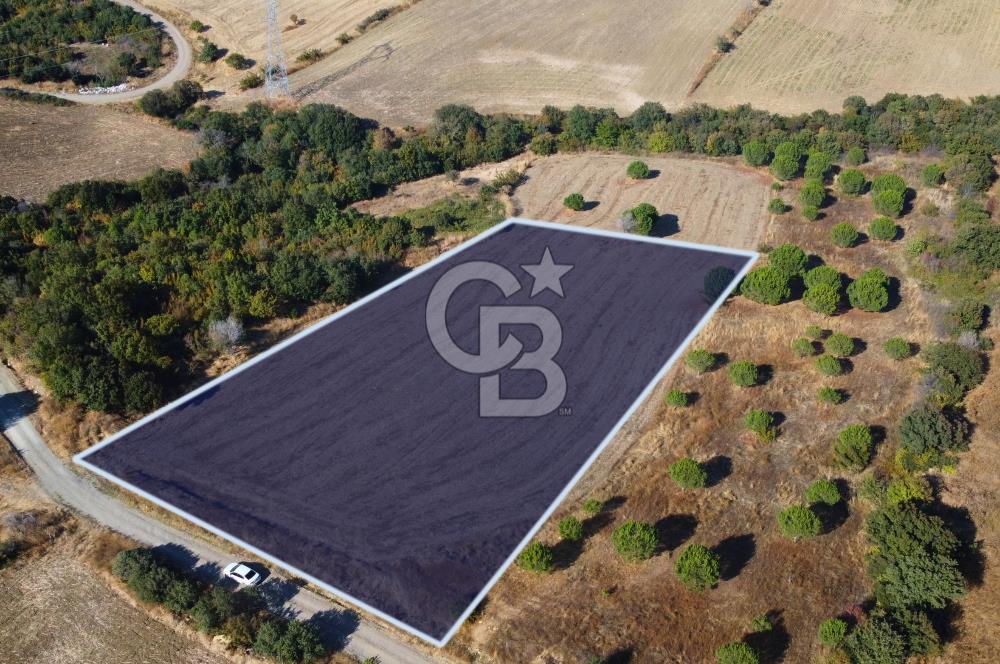 Çanakkale Lapseki Kocaveli Köprü Ve Boğaz Manzaralı 7734m² Tarla