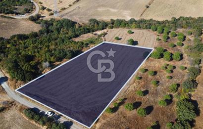 Çanakkale Lapseki Kocaveli Köprü Ve Boğaz Manzaralı 7734m² Tarla