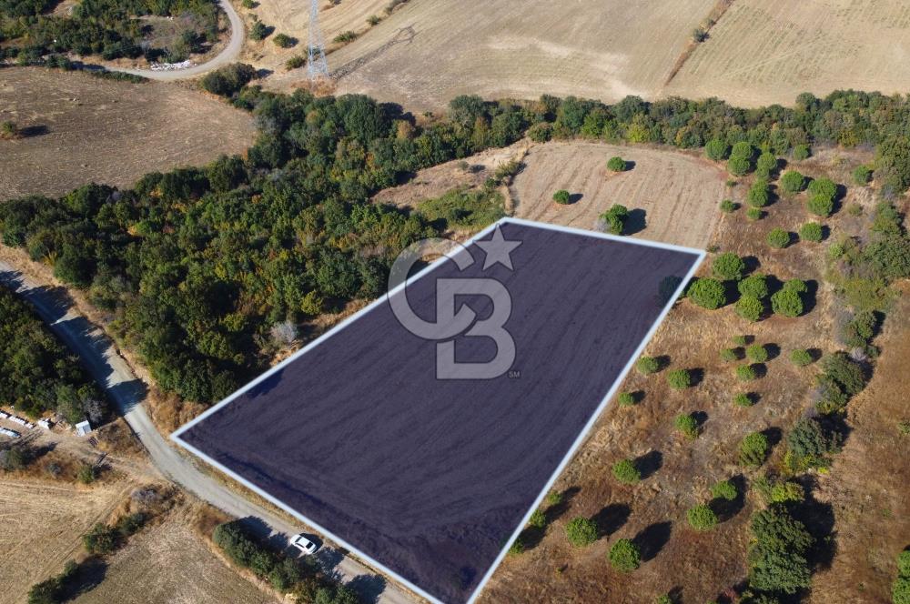 Çanakkale Lapseki Kocaveli Köprü Ve Boğaz Manzaralı 7734m² Tarla