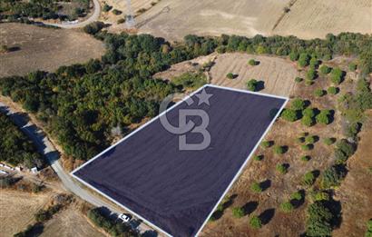 Çanakkale Lapseki Kocaveli Köprü Ve Boğaz Manzaralı 7734m² Tarla