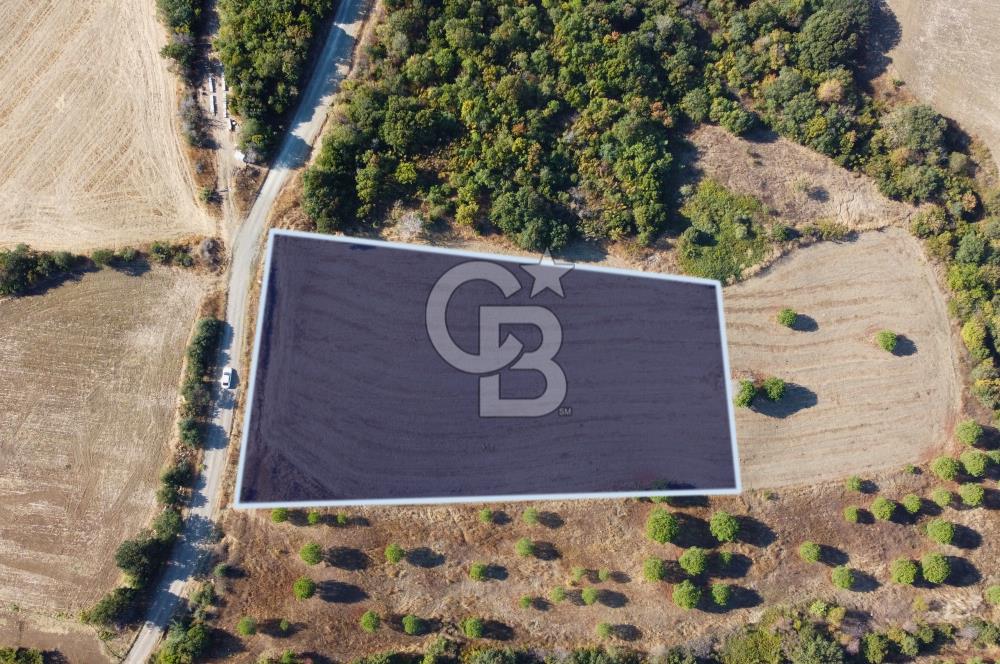 Çanakkale Lapseki Kocaveli Köprü Ve Boğaz Manzaralı 7734m² Tarla