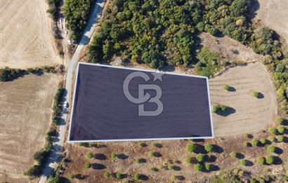 Çanakkale Lapseki Kocaveli Köprü Ve Boğaz Manzaralı 7734m² Tarla