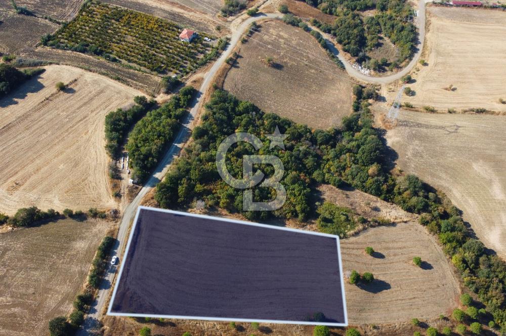 Çanakkale Lapseki Kocaveli Köprü Ve Boğaz Manzaralı 7734m² Tarla