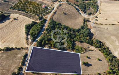 Çanakkale Lapseki Kocaveli Köprü Ve Boğaz Manzaralı 7734m² Tarla