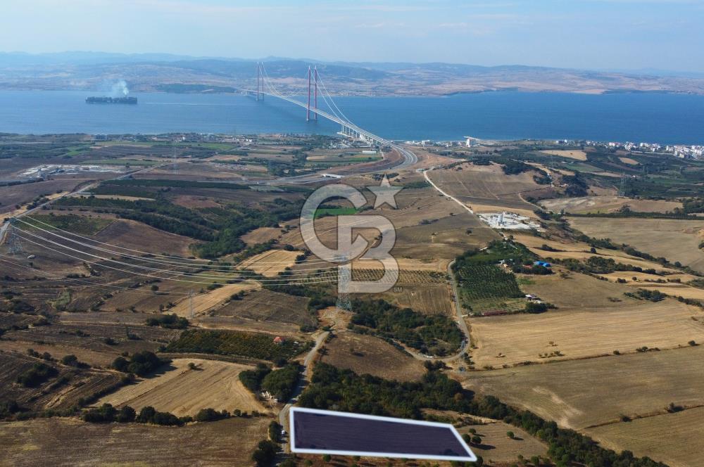 Çanakkale Lapseki Kocaveli Köprü Ve Boğaz Manzaralı 7734m² Tarla