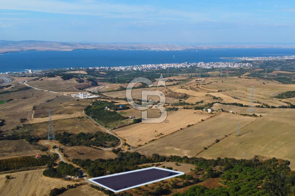 Çanakkale Lapseki Kocaveli Köprü Ve Boğaz Manzaralı 7734m² Tarla