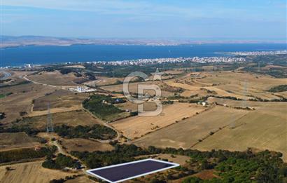 Çanakkale Lapseki Kocaveli Köprü Ve Boğaz Manzaralı 7734m² Tarla