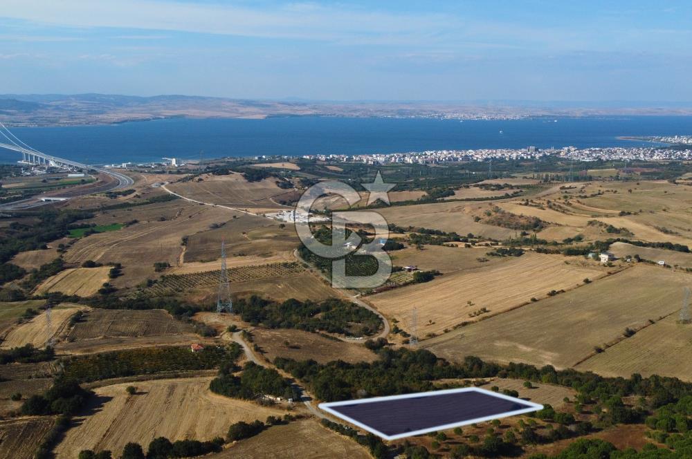 Çanakkale Lapseki Kocaveli Köprü Ve Boğaz Manzaralı 7734m² Tarla