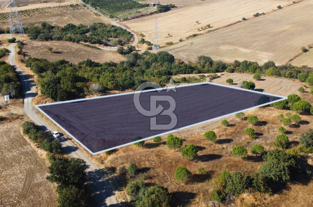 Çanakkale Lapseki Kocaveli Köprü Ve Boğaz Manzaralı 7734m² Tarla