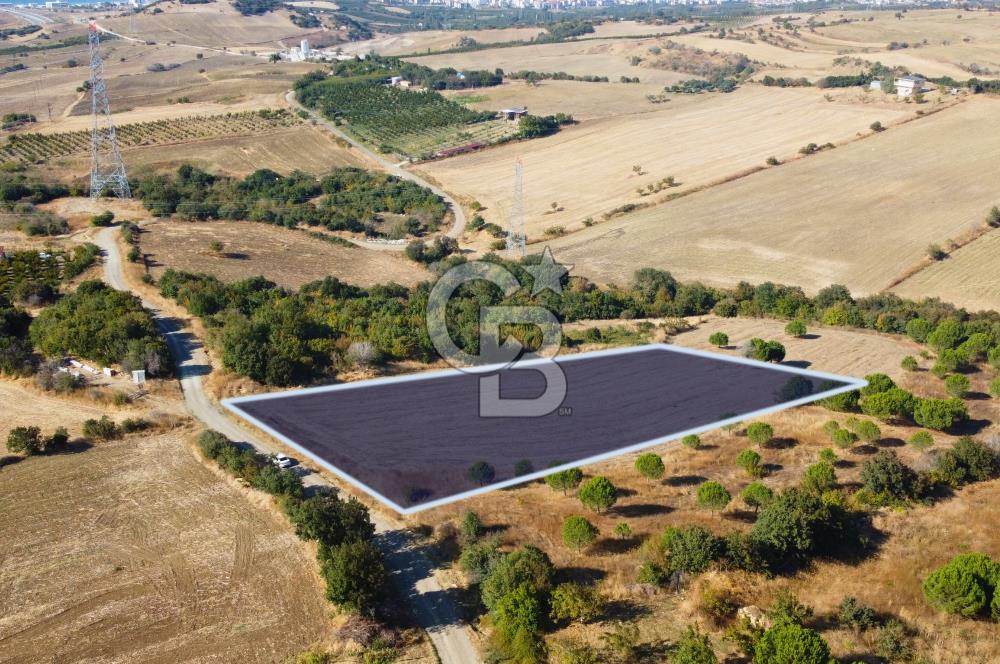 Çanakkale Lapseki Kocaveli Köprü Ve Boğaz Manzaralı 7734m² Tarla