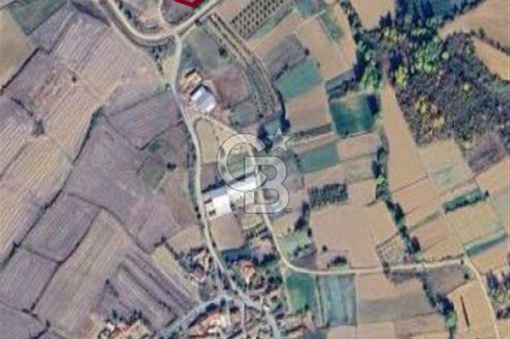 Edirne Keşan Mahmutköy de tek tapu