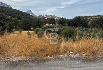 Karaburun Saip Merkezde Denize 400 M Mesafede Satılık Tarla 