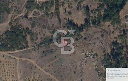 CB NETA ÖMER ÜNSAL'DAN ACİL SATILIK 140m² YOLA CEPHE PARSEL