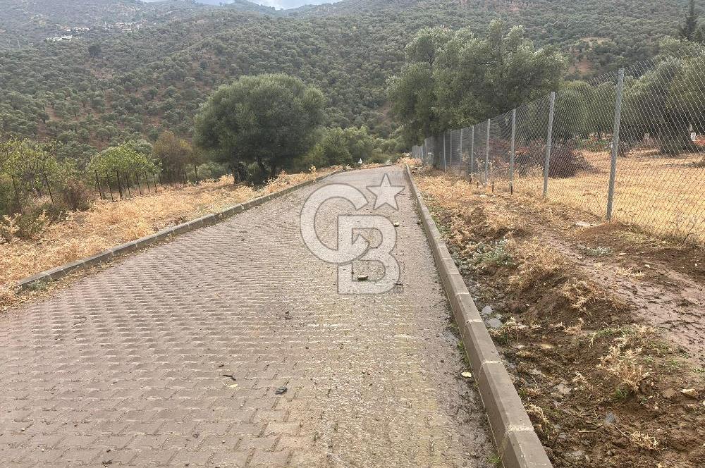 Bayındır Karahayıt'de Özel Konumlu Satılık Muhteşem Zeytinlik