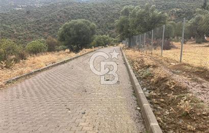 Bayındır Karahayıt'de Özel Konumlu Satılık Muhteşem Zeytinlik