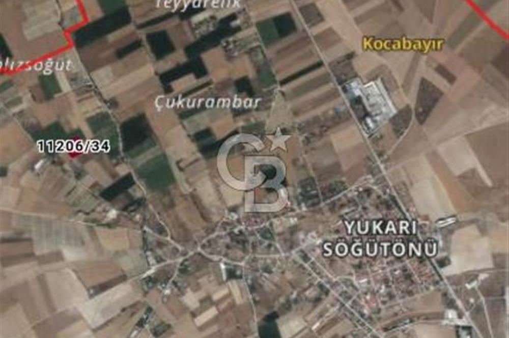 CB CITY'DEN YUKARI SÖĞÜTÖNÜN'DE SATILIK TARLA