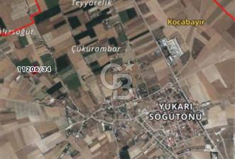 CB CITY'DEN YUKARI SÖĞÜTÖNÜN'DE SATILIK TARLA