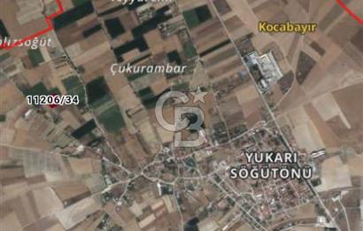 CB CITY'DEN YUKARI SÖĞÜTÖNÜN'DE SATILIK TARLA