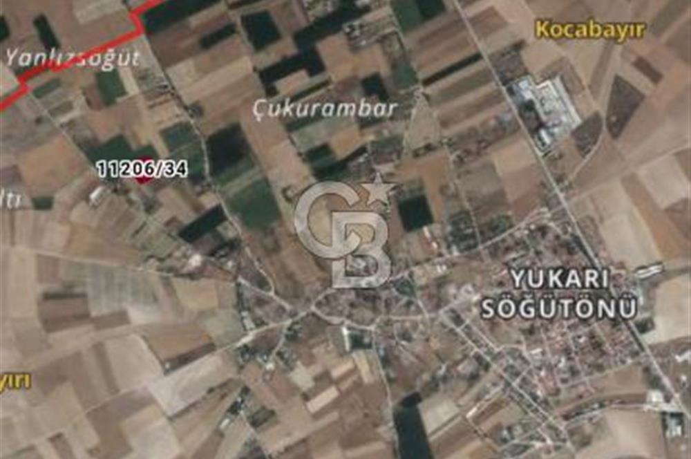 CB CITY'DEN YUKARI SÖĞÜTÖNÜN'DE SATILIK TARLA