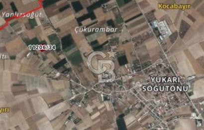 CB CITY'DEN YUKARI SÖĞÜTÖNÜN'DE SATILIK TARLA