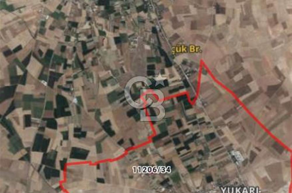 CB CITY'DEN YUKARI SÖĞÜTÖNÜN'DE SATILIK TARLA