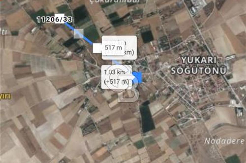 CB CITY'DEN YUKARI SÖĞÜTÖNÜN'DE 1.591 M² SATILIK TARLA