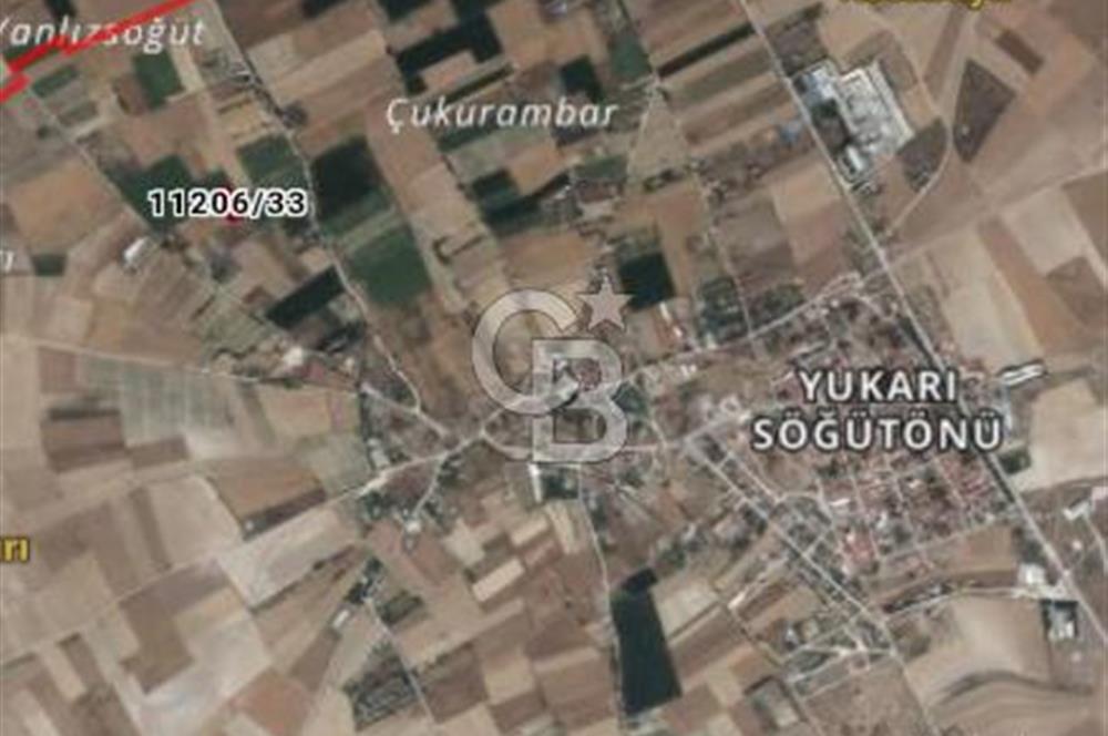 CB CITY'DEN YUKARI SÖĞÜTÖNÜN'DE 1.591 M² SATILIK TARLA