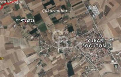 CB CITY'DEN YUKARI SÖĞÜTÖNÜN'DE 1.591 M² SATILIK TARLA
