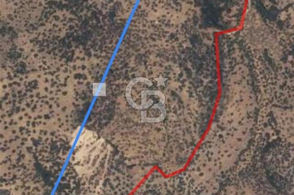Çanakkale Ayvacık Babakale satılık 3400 m2 tarla zeytinlik uygun