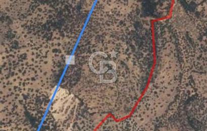 Çanakkale Ayvacık Babakale satılık 3400 m2 tarla zeytinlik uygun