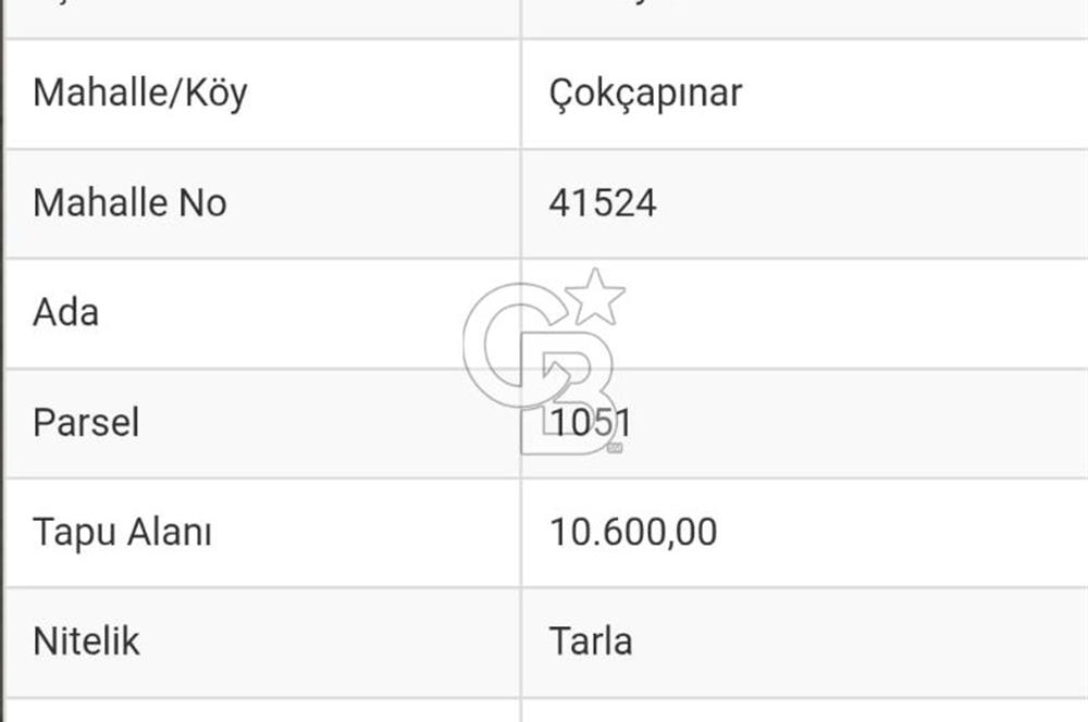 Bilecik Bozüyük Çokçapınar satılık göl manzaralı 11 dönüm tarla