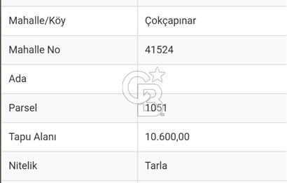 Bilecik Bozüyük Çokçapınar satılık göl manzaralı 11 dönüm tarla