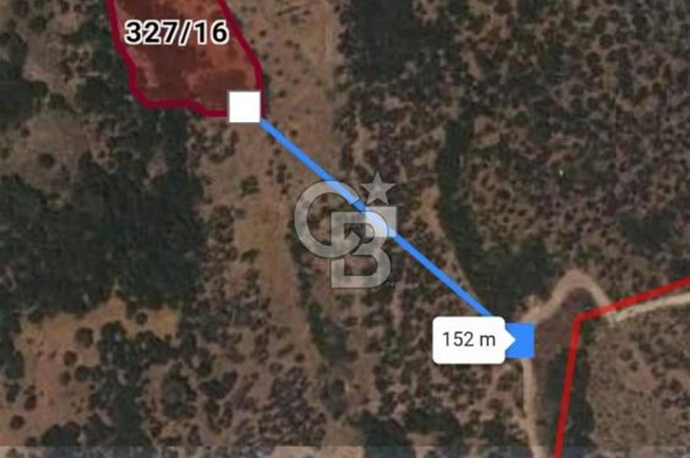 Çanakkale Ayvacık Babakale satılık 3400 m2 tarla zeytinlik uygun