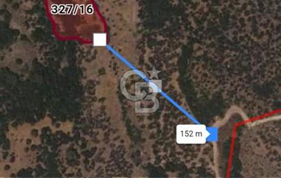 Çanakkale Ayvacık Babakale satılık 3400 m2 tarla zeytinlik uygun
